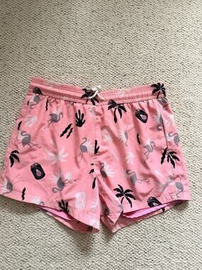 Brisira Mens Swim Trunks Pink Flamingo Palm Pineapple Print 4 Inch Inseam Lined